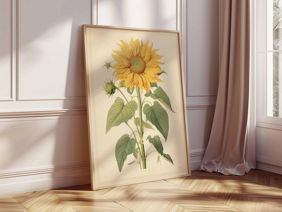 Plakat ze słonecznikiem w stylu vintage, botaniczna grafika ścienna z motywem kwiatowym, klasyczna ilustracja przyrodnicza, elegancka grafika kwiatowa do domu i salonu