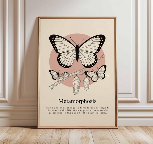 Grafika ścienna z motylem, plakat przedstawiający cykl życia z gąsienicą i kokonem, nowoczesna ilustracja przyrodnicza, minimalistyczna dekoracja botaniczna do domu